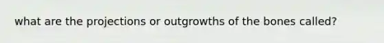 what are the projections or outgrowths of the bones called?