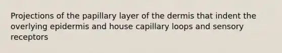 Projections of the papillary layer of the dermis that indent the overlying epidermis and house capillary loops and sensory receptors