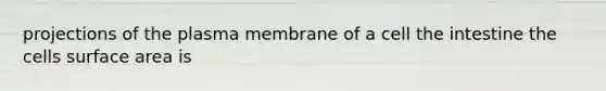 projections of the plasma membrane of a cell the intestine the cells surface area is