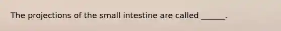 The projections of the small intestine are called ______.