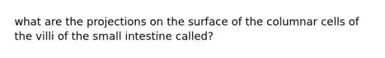 what are the projections on the surface of the columnar cells of the villi of the small intestine called?