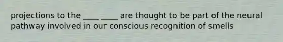 projections to the ____ ____ are thought to be part of the neural pathway involved in our conscious recognition of smells