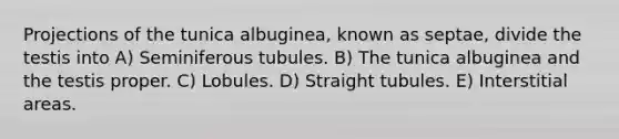 Projections of the tunica albuginea, known as septae, divide the testis into A) Seminiferous tubules. B) The tunica albuginea and the testis proper. C) Lobules. D) Straight tubules. E) Interstitial areas.