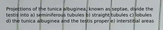 Projections of the tunica albuginea, known as septae, divide the testis into a) seminiferous tubules b) straight tubules c) lobules d) the tunica albuginea and the testis proper e) interstitial areas