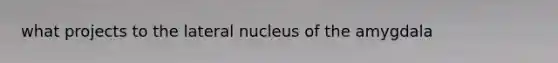 what projects to the lateral nucleus of the amygdala