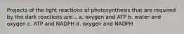 Projects of the light reactions of photosynthesis that are required by the dark reactions are... a. oxygen and ATP b. water and oxygen c. ATP and NADPH d. oxygen and NADPH