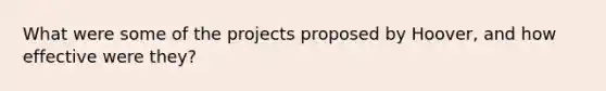 What were some of the projects proposed by Hoover, and how effective were they?