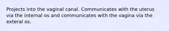 Projects into the vaginal canal. Communicates with the uterus via the internal os and communicates with the vagina via the exteral os.