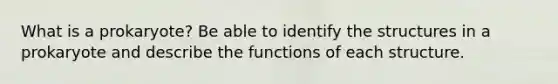 What is a prokaryote? Be able to identify the structures in a prokaryote and describe the functions of each structure.