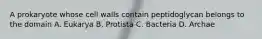 A prokaryote whose cell walls contain peptidoglycan belongs to the domain A. Eukarya B. Protista C. Bacteria D. Archae