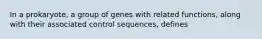 In a prokaryote, a group of genes with related functions, along with their associated control sequences, defines