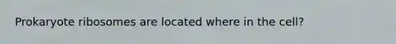 Prokaryote ribosomes are located where in the cell?