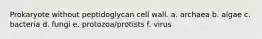 Prokaryote without peptidoglycan cell wall. a. archaea b. algae c. bacteria d. fungi e. protozoa/protists f. virus