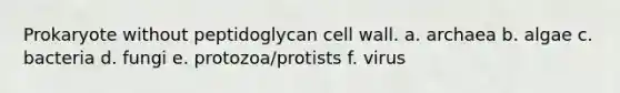 Prokaryote without peptidoglycan cell wall. a. archaea b. algae c. bacteria d. fungi e. protozoa/protists f. virus