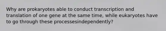 Why are prokaryotes able to conduct transcription and translation of one gene at the same time, while eukaryotes have to go through these processesindependently?