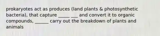 prokaryotes act as produces (land plants & photosynthetic bacteria), that capture _____ ___ and convert it to organic compounds, ______ carry out the breakdown of plants and animals