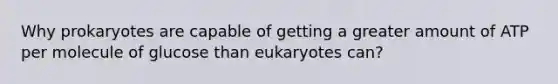 Why prokaryotes are capable of getting a greater amount of ATP per molecule of glucose than eukaryotes can?