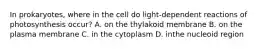 In prokaryotes, where in the cell do light-dependent reactions of photosynthesis occur? A. on the thylakoid membrane B. on the plasma membrane C. in the cytoplasm D. inthe nucleoid region