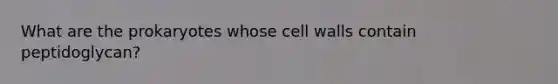 What are the prokaryotes whose cell walls contain peptidoglycan?