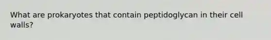 What are prokaryotes that contain peptidoglycan in their cell walls?