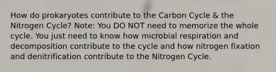 How do prokaryotes contribute to the Carbon Cycle & the Nitrogen Cycle? Note: You DO NOT need to memorize the whole cycle. You just need to know how microbial respiration and decomposition contribute to the cycle and how nitrogen fixation and denitrification contribute to the Nitrogen Cycle.