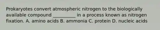 Prokaryotes convert atmospheric nitrogen to the biologically available compound __________ in a process known as nitrogen fixation. A. amino acids B. ammonia C. protein D. nucleic acids