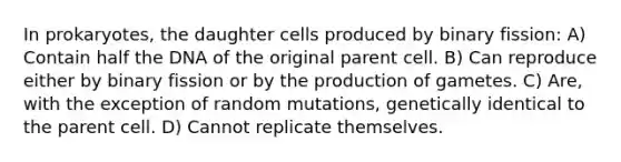 In prokaryotes, the daughter cells produced by binary fission: A) Contain half the DNA of the original parent cell. B) Can reproduce either by binary fission or by the production of gametes. C) Are, with the exception of random mutations, genetically identical to the parent cell. D) Cannot replicate themselves.