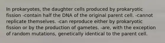 In prokaryotes, the daughter cells produced by prokaryotic fission -contain half the DNA of the original parent cell. -cannot replicate themselves. -can reproduce either by prokaryotic fission or by the production of gametes. -are, with the exception of random mutations, genetically identical to the parent cell.