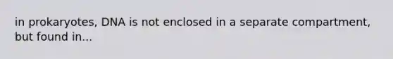 in prokaryotes, DNA is not enclosed in a separate compartment, but found in...