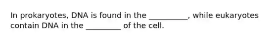 In prokaryotes, DNA is found in the __________, while eukaryotes contain DNA in the _________ of the cell.