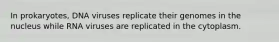 In prokaryotes, DNA viruses replicate their genomes in the nucleus while RNA viruses are replicated in the cytoplasm.