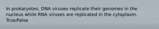 In prokaryotes, DNA viruses replicate their genomes in the nucleus while RNA viruses are replicated in the cytoplasm. True/False