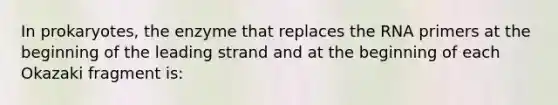 In prokaryotes, the enzyme that replaces the RNA primers at the beginning of the leading strand and at the beginning of each Okazaki fragment is: