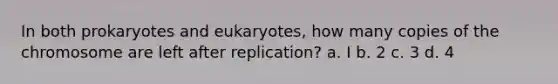 In both prokaryotes and eukaryotes, how many copies of the chromosome are left after replication? a. I b. 2 c. 3 d. 4