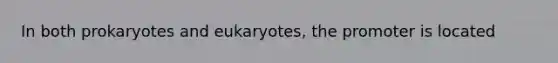 In both prokaryotes and eukaryotes, the promoter is located