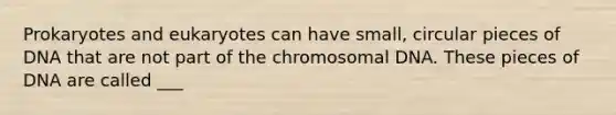 Prokaryotes and eukaryotes can have small, circular pieces of DNA that are not part of the chromosomal DNA. These pieces of DNA are called ___