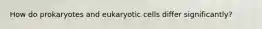 How do prokaryotes and eukaryotic cells differ significantly?