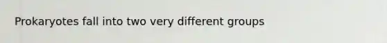 Prokaryotes fall into two very different groups