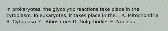 In prokaryotes, the glycolytic reactions take place in the cytoplasm. In eukaryotes, it takes place in the... A. Mitochondria B. Cytoplasm C. Ribosomes D. Golgi bodies E. Nucleus