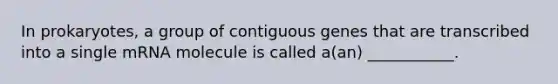 In prokaryotes, a group of contiguous genes that are transcribed into a single mRNA molecule is called a(an) ___________.