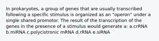 In prokaryotes, a group of genes that are usually transcribed following a specific stimulus is organized as an "operon" under a single shared promotor. The result of the transcription of the genes in the presence of a stimulus would generate a: a.crRNA b.miRNA c.polycistronic mRNA d.rRNA e.siRNA