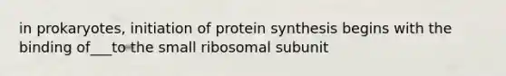 in prokaryotes, <a href='https://www.questionai.com/knowledge/kURMEeWeRq-initiation-of-protein-synthesis' class='anchor-knowledge'>initiation of <a href='https://www.questionai.com/knowledge/kVyphSdCnD-protein-synthesis' class='anchor-knowledge'>protein synthesis</a></a> begins with the binding of___to the small ribosomal subunit