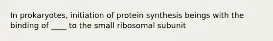 In prokaryotes, <a href='https://www.questionai.com/knowledge/kURMEeWeRq-initiation-of-protein-synthesis' class='anchor-knowledge'>initiation of <a href='https://www.questionai.com/knowledge/kVyphSdCnD-protein-synthesis' class='anchor-knowledge'>protein synthesis</a></a> beings with the binding of ____ to the small ribosomal subunit