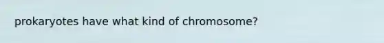 prokaryotes have what kind of chromosome?