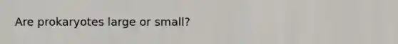 Are prokaryotes large or small?
