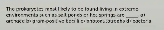 The prokaryotes most likely to be found living in extreme environments such as salt ponds or hot springs are _____. a) archaea b) gram-positive bacilli c) photoautotrophs d) bacteria