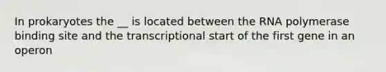 In prokaryotes the __ is located between the RNA polymerase binding site and the transcriptional start of the first gene in an operon