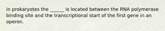 in prokaryotes the ______ is located between the RNA polymerase binding site and the transcriptional start of the first gene in an operon.