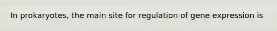 In prokaryotes, the main site for regulation of gene expression is