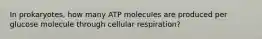 In prokaryotes, how many ATP molecules are produced per glucose molecule through cellular respiration?